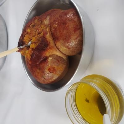 Virmond retoma Festa do Cabrito com visitantes de vÃ¡rias regiÃµes do Estado