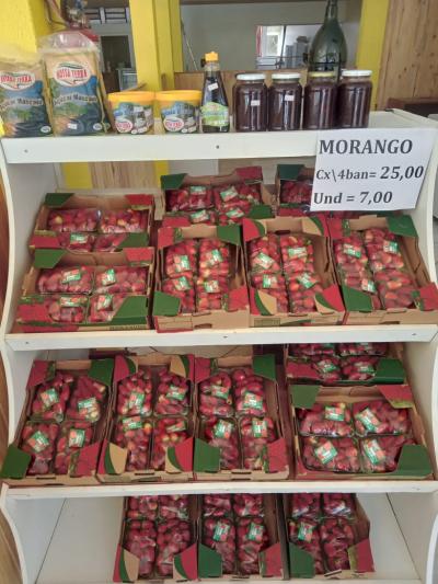Casa dos Morangos em novo endereÃ§o em Laranjeiras do Sul com Cafeteria 