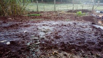 Geadas sÃ£o registradas na regiÃ£o de Laranjeiras do Sul nesta segunda-feira (19/06)