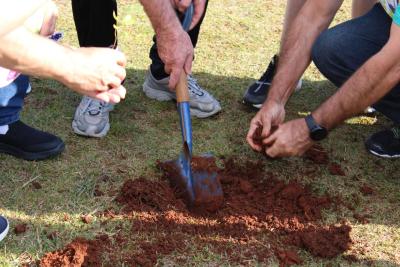 DIA C â€“ Coprossel, Cresol e Sicoob movimentam regiÃ£o em aÃ§Ã£o de Sustentabilidade 