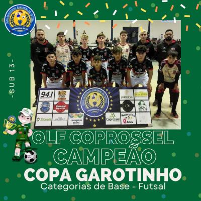 ConheÃ§a os CampeÃµes da Copa Garotinho de Futsal Categorias de Base