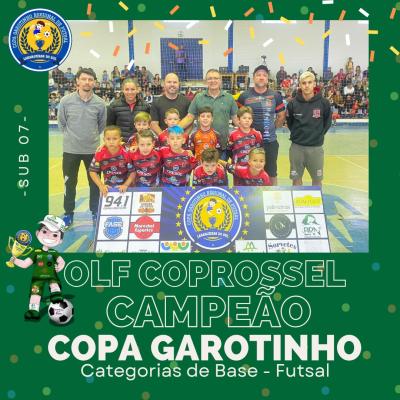 ConheÃ§a os CampeÃµes da Copa Garotinho de Futsal Categorias de Base