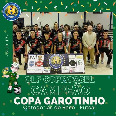 ConheÃ§a os CampeÃµes da Copa Garotinho de Futsal Categorias de Base