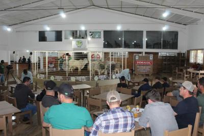 LeilÃµes da Sociedade Rural de Laranjeiras do Sul comercializam mais de 900 animais 