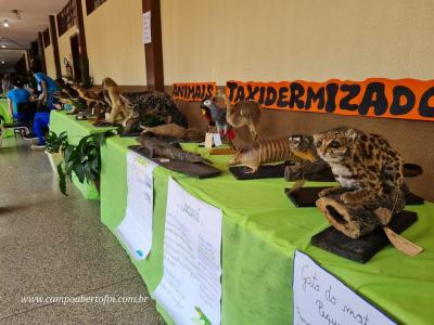 ColÃ©gio Eurico Gaspar Dutra de Virmond realiza Feira do Conhecimento
