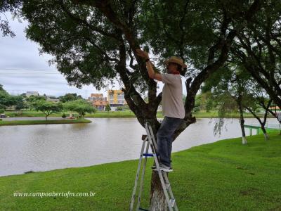 Jornal Correio do Povo realizou sÃ¡bado plantaÃ§Ã£o de mudas no lago I