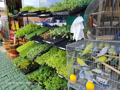 BRN Comemora 3 anos em Laranjeiras do Sul nesta segunda-feira