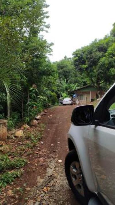 Policia Militar do 3º BPM prende dois homens envolvidos no roubo á agencia da Sicredi em Saudade do Iguaçu