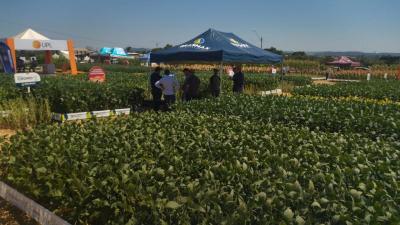 Dia de Campo da Coprossel teve uma Ã³tima participaÃ§Ã£o dos associados