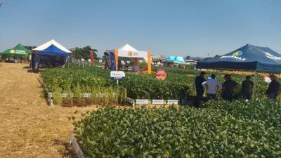 Dia de Campo da Coprossel teve uma Ã³tima participaÃ§Ã£o dos associados