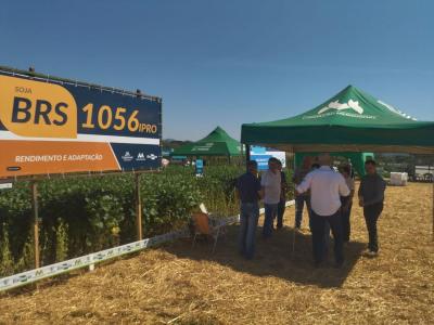 Dia de Campo da Coprossel teve uma Ã³tima participaÃ§Ã£o dos associados