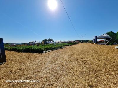 Dia de Campo da Coprossel teve uma Ã³tima participaÃ§Ã£o dos associados