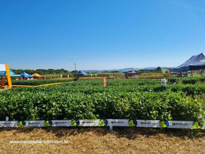 Dia de Campo da Coprossel teve uma Ã³tima participaÃ§Ã£o dos associados