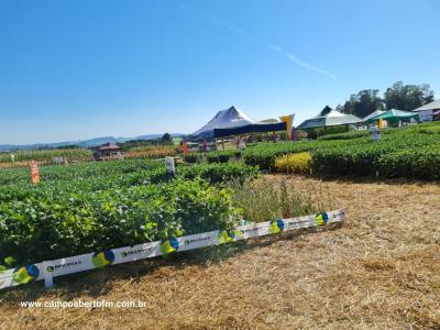 Dia de Campo da Coprossel teve uma Ã³tima participaÃ§Ã£o dos associados