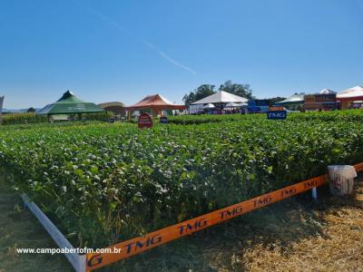 Dia de Campo da Coprossel teve uma Ã³tima participaÃ§Ã£o dos associados