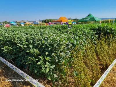 Dia de Campo da Coprossel teve uma Ã³tima participaÃ§Ã£o dos associados