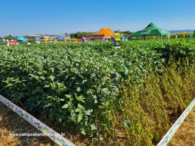 Dia de Campo da Coprossel teve uma ótima participação dos associados