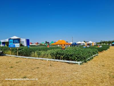 Dia de Campo da Coprossel teve uma Ã³tima participaÃ§Ã£o dos associados