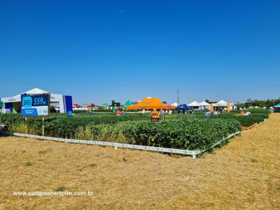 Dia de Campo da Coprossel teve uma ótima participação dos associados