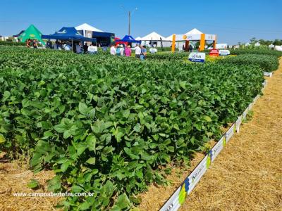 Dia de Campo da Coprossel teve uma Ã³tima participaÃ§Ã£o dos associados