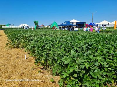 Dia de Campo da Coprossel teve uma Ã³tima participaÃ§Ã£o dos associados