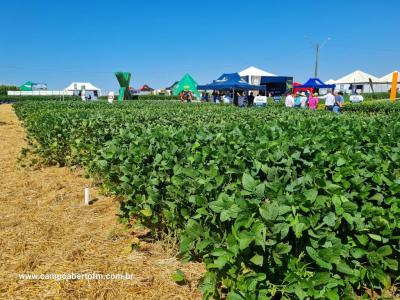 Dia de Campo da Coprossel teve uma ótima participação dos associados