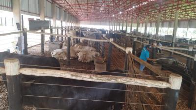 Equipe da RÃ¡dio Campo Aberto esteve visitando o Show Rural em Cascavel