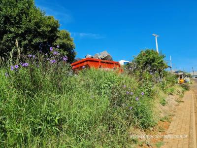 Combate Ã  dengue, PopulaÃ§Ã£o da Vila SÃ£o Miguel recebe caÃ§ambas para destinar materiais que acumula Ã¡gua