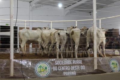 INTEGRA AGRO 2024. Evento iniciou nesta sexta-feira (12/04) 
