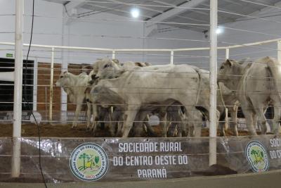 INTEGRA AGRO 2024. Evento iniciou nesta sexta-feira (12/04) 