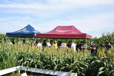 INTEGRA 2024 â€“ Evento buscou ressaltar a importÃ¢ncia social e econÃ´mica do Agro regional 
