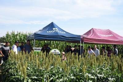 INTEGRA 2024 â€“ Evento buscou ressaltar a importÃ¢ncia social e econÃ´mica do Agro regional 