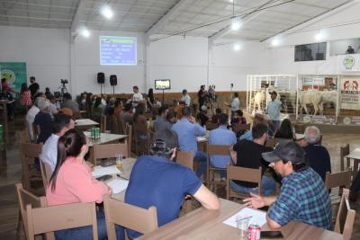 INTEGRA 2024 â€“ LeilÃµes de gado de corte comercializaram mais de mil animais 