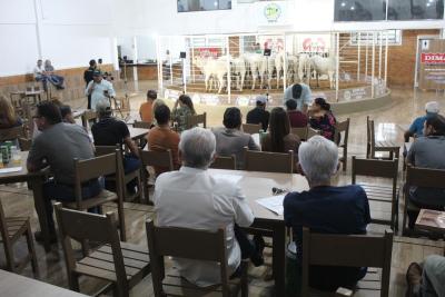 INTEGRA 2024 â€“ LeilÃµes de gado de corte comercializaram mais de mil animais 