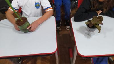 Escola Municipal LeocÃ¡dio JosÃ© Correia realizou atividades sobre proteÃ§Ã£o ao Meio Ambiente