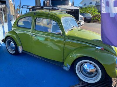 Inaugurada filial Alfa Motors em Rio Bonito do IguaÃ§u 