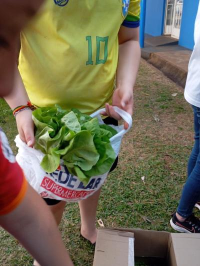 LS: Alunos do 5Âº Ano da Escola JosÃ© BonifÃ¡cio Colhem Alfaces em Projeto de Horta Escolar