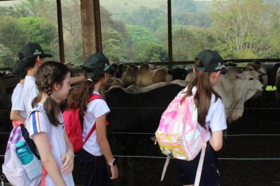 Projeto "Vivenciando a PrÃ¡tica" leva alunos ao dia a dia de uma propriedade rural em Rio Bonito do IguaÃ§u