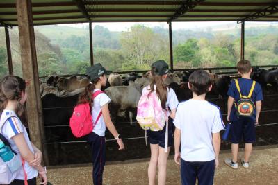 Projeto "Vivenciando a PrÃ¡tica" leva alunos ao dia a dia de uma propriedade rural em Rio Bonito do IguaÃ§u