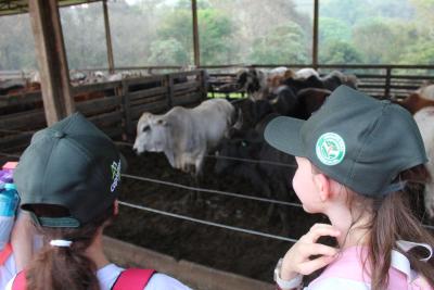 Projeto "Vivenciando a PrÃ¡tica" leva alunos ao dia a dia de uma propriedade rural em Rio Bonito do IguaÃ§u