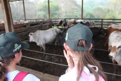 Projeto "Vivenciando a PrÃ¡tica" leva alunos ao dia a dia de uma propriedade rural em Rio Bonito do IguaÃ§u