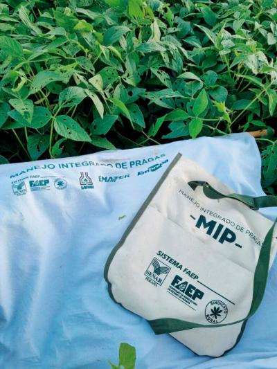 MIP: produtores que utilizam boas prÃ¡ticas tÃªm economia nos custos