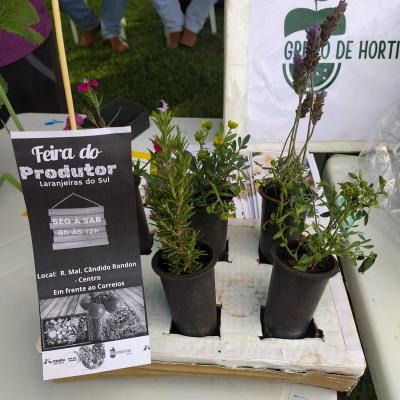 LS: UFFS promove atividades para fortalecer a horticultura na regiÃ£o