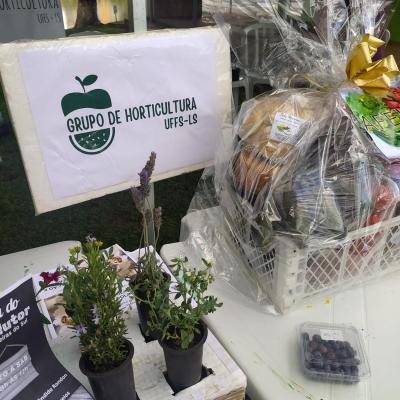 LS: UFFS promove atividades para fortalecer a horticultura na regiÃ£o