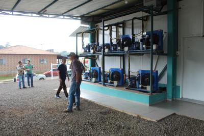 Boutique de Carnes Nobres Ã© Inaugurada pela Caprivir em Virmond