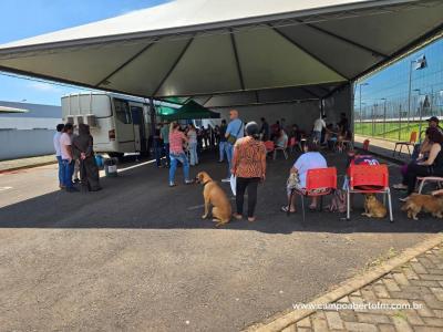 AÃ§Ã£o do CastraPet paranÃ¡ realizado em Laranjeiras do Sul teve paticipaÃ§Ã£o de 99% do publico cadastrado
