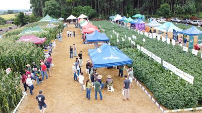 Dia de Campo Coprossel â€“ Novidades tecnolÃ³gicas, de sementes e insumos, troca de informaÃ§Ãµes e oportunidades do agro 