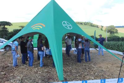 Coprossel - Dia de Campo em Porto Barreiro reuniu produtores e tÃ©cnicos em prol de maiores produtividades