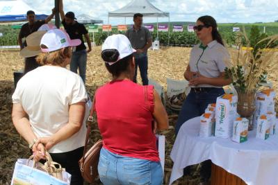 Coprossel - Dia de Campo em Porto Barreiro reuniu produtores e tÃ©cnicos em prol de maiores produtividades