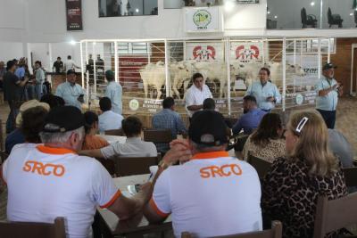 Expoagro 2025 - Feira de Bezerros e Bezerras da Sociedade Rural movimenta mais de 3 milhÃµes em negÃ³cios